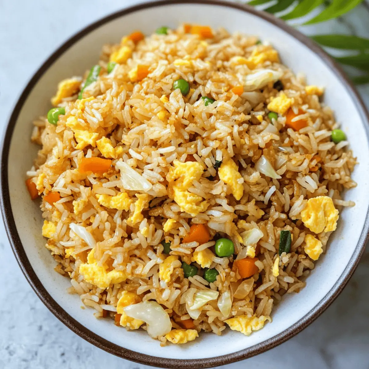 Der Ausgang: Schnell und lecker Egg Fried Rice