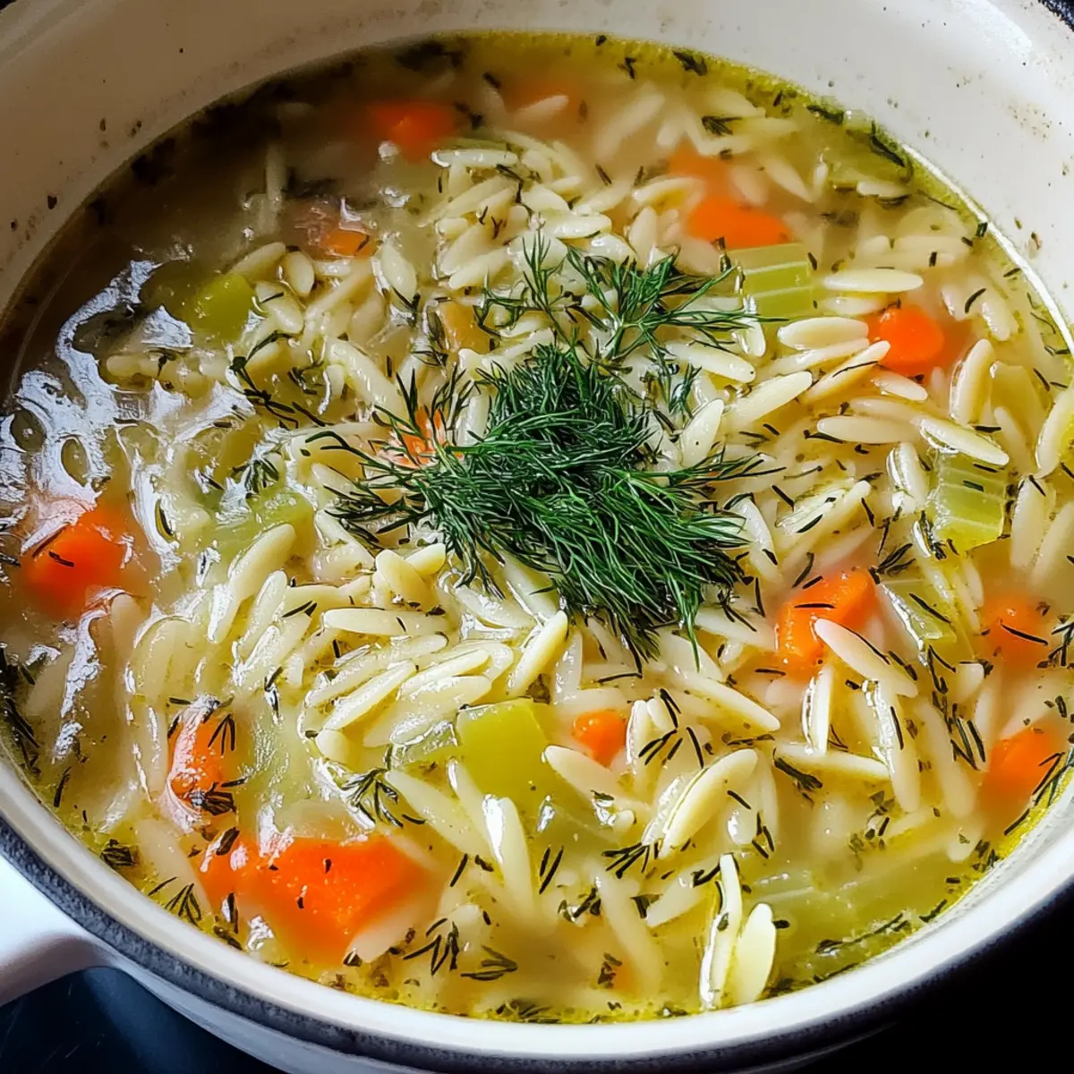 Orzo, Lauch und Dill Suppe für schnelle Wohlfühlmomente